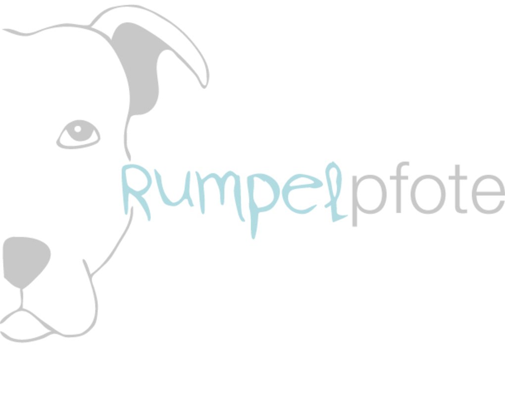 Rumpelpfote AUsführservice Hundetraining